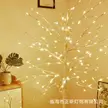 缩略图 1