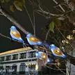 缩略图 3
