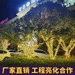 缩略图 2