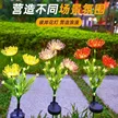 缩略图 3
