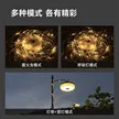 缩略图 1