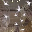 缩略图 2