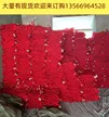 缩略图 3