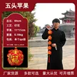 缩略图 8