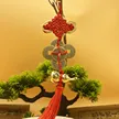 缩略图 6