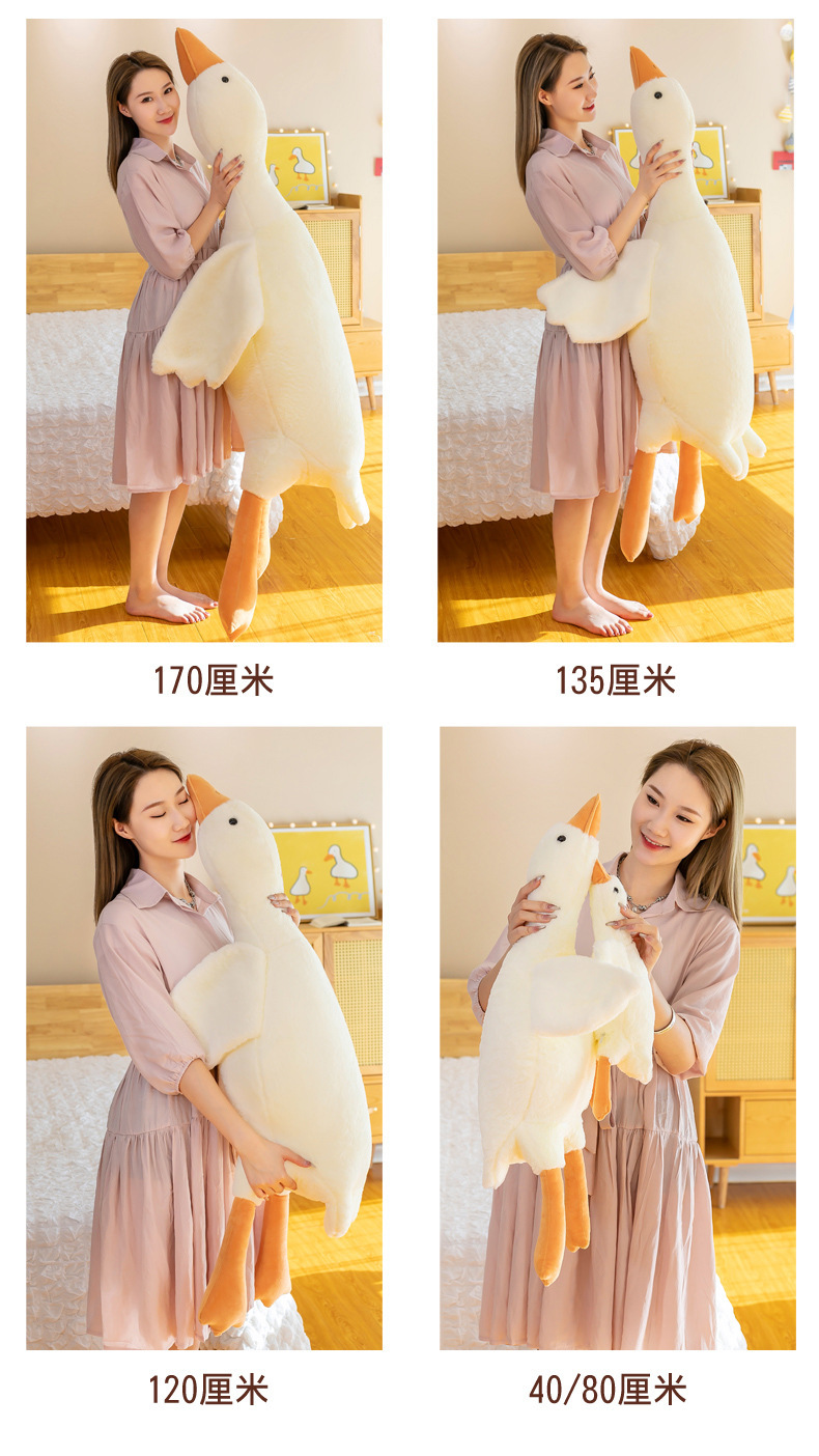 鹅_12.jpg