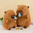 缩略图 1