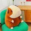 缩略图 2