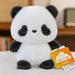 缩略图 9
