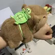 缩略图 4