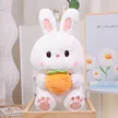 缩略图 1