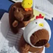 缩略图 3