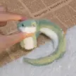 缩略图 7