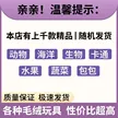 缩略图 2