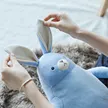 缩略图 2