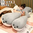 缩略图 2