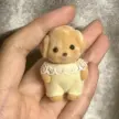 缩略图 3