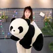 缩略图 5