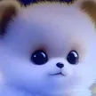 缩略图 6