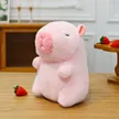 缩略图 7