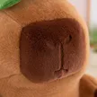 缩略图 10