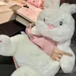 缩略图 2