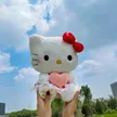 缩略图 2
