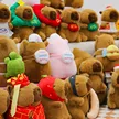 缩略图 2