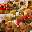 缩略图 3