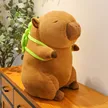 缩略图 5
