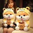 缩略图 4