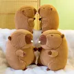 缩略图 6