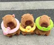 缩略图 7