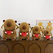 缩略图 5