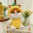 缩略图 5