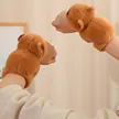 缩略图 2