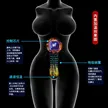 缩略图 1