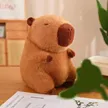 缩略图 6