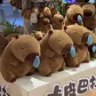 缩略图 1
