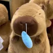 缩略图 2