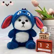 缩略图 5