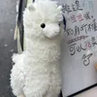 缩略图 6