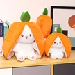 缩略图 2