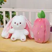 缩略图 5