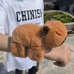 缩略图 5