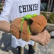缩略图 6
