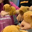 缩略图 2