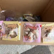 缩略图 5
