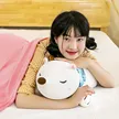 缩略图 3