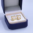 缩略图 5